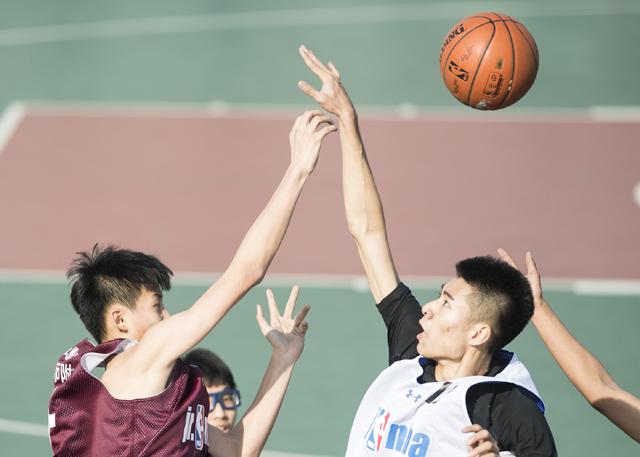 诱惑网综合