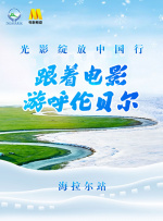 明星演员的约会