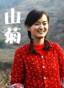 silk日剧电视剧免费观看全集