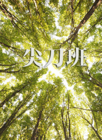 av一道本