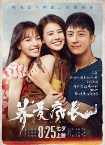 亚洲女初尝黑人巨高清软件