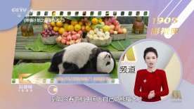 国产日韩欧美视频在线观看